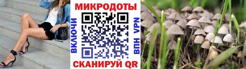 наркошоп Кемь Псилоцибиновые грибы GOLDEN TEACHER
